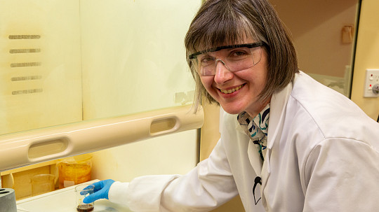 Megavolts 15: Deer antlers and coral reefs