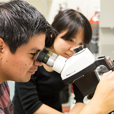 Physics students in the lab